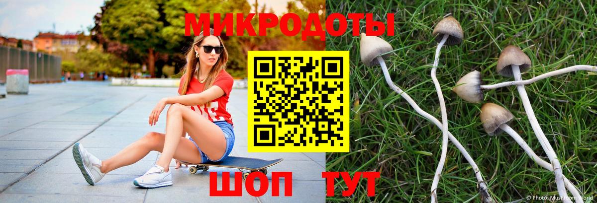 Североуральск  Псилоцибиновые грибы GOLDEN TEACHER  Вход с VPN 